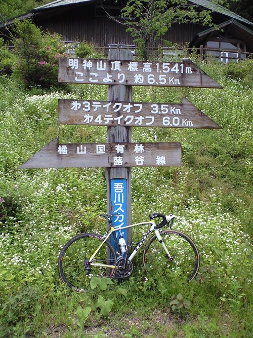 a0143296_1612079.jpg