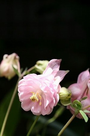 e0082098_7132041.jpg