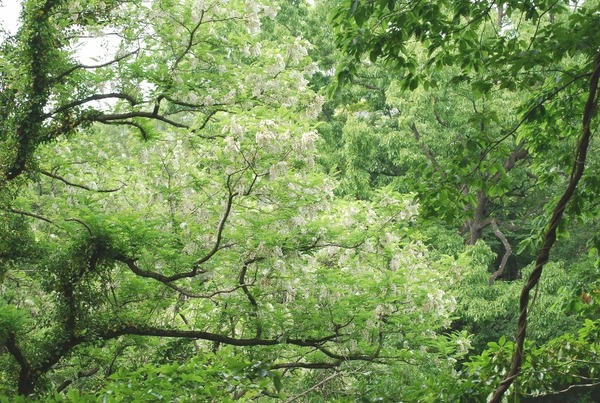 e0025300_17133350.jpg