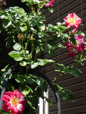 c0152002_18325453.jpg