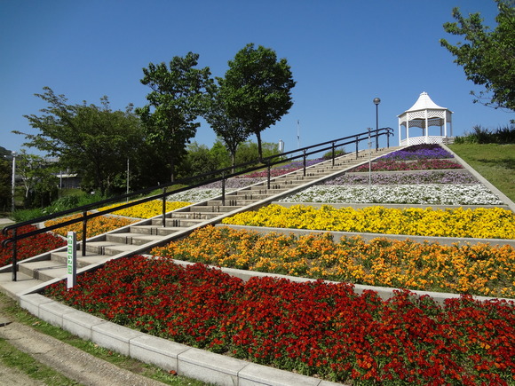 a0243305_833711.jpg