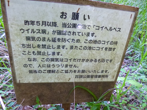 e0258608_22472445.jpg
