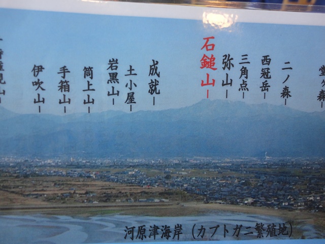 f0231709_1424028.jpg