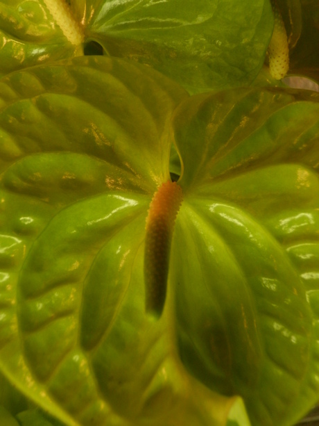 c0062511_2248761.jpg