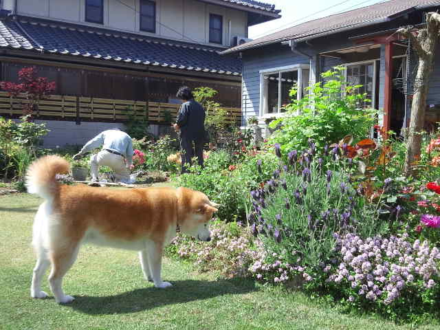 c0060620_17323098.jpg