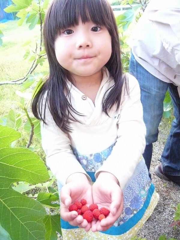 c0243321_2394546.jpg