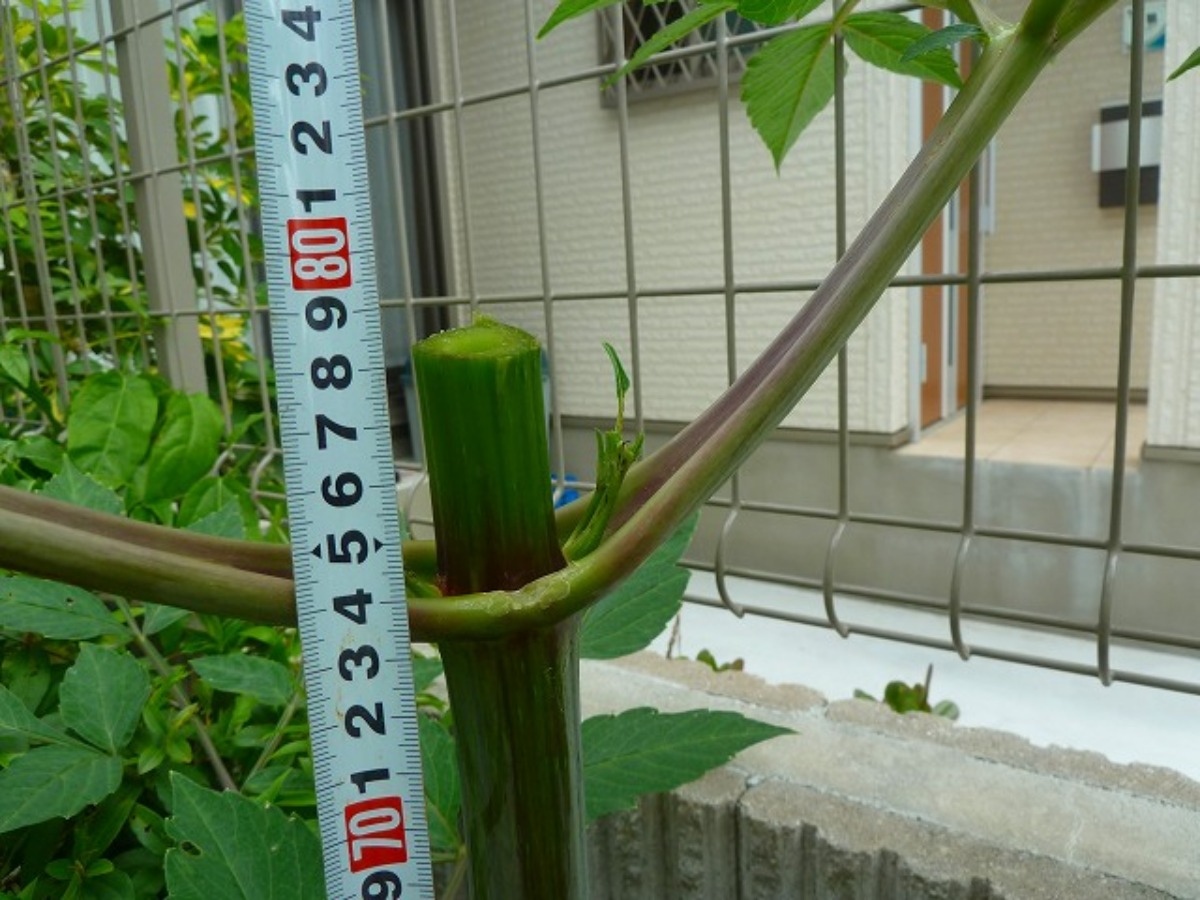 e0033229_21112615.jpg