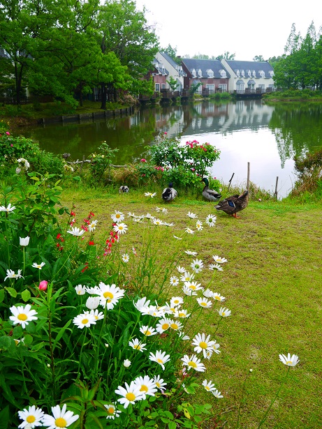 f0231829_20101891.jpg
