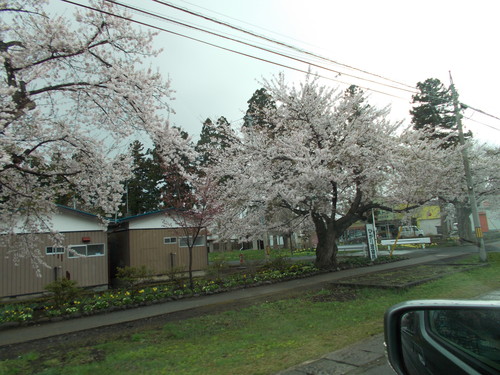 e0166032_21262196.jpg