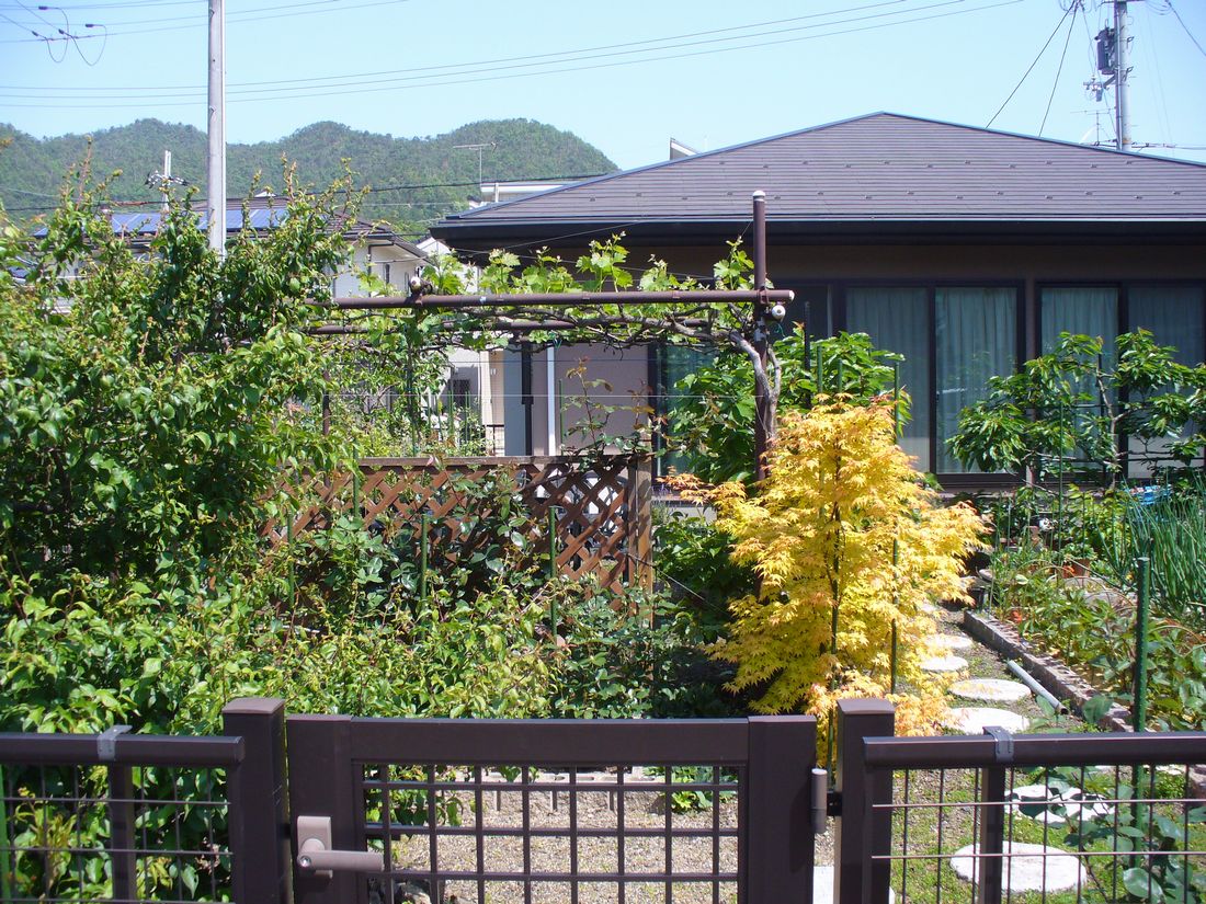 f0275632_232377.jpg