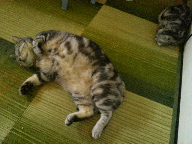 c0143333_14202985.jpg