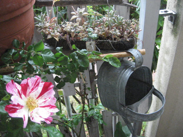 b0166435_16383153.jpg