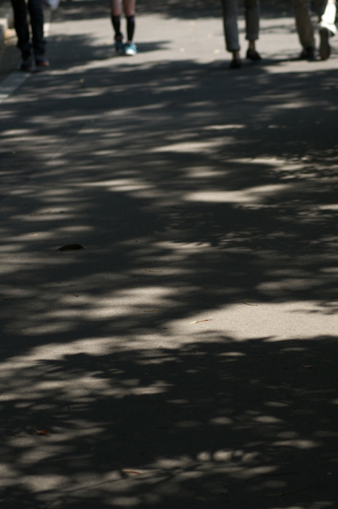 e0011137_2139578.jpg