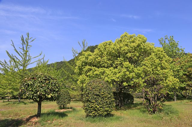 a0242438_21421146.jpg