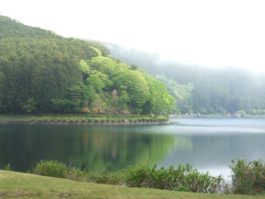 b0089338_13337100.jpg