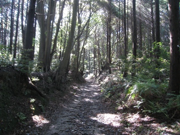 c0077338_21563099.jpg