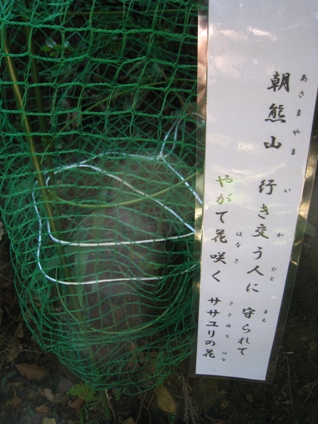 c0077338_21563682.jpg