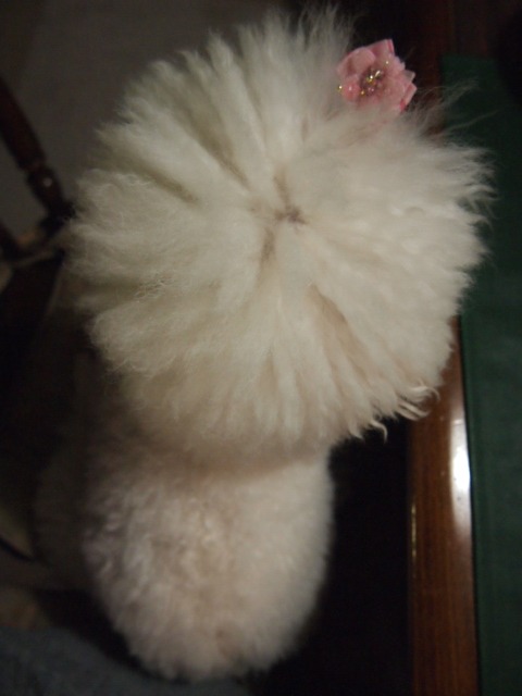 c0117239_10245998.jpg