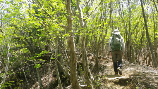 c0042847_1684116.jpg