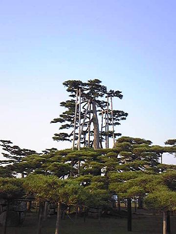 d0103548_22334438.jpg