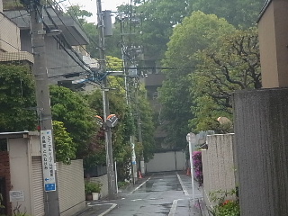 d0063149_7595350.jpg