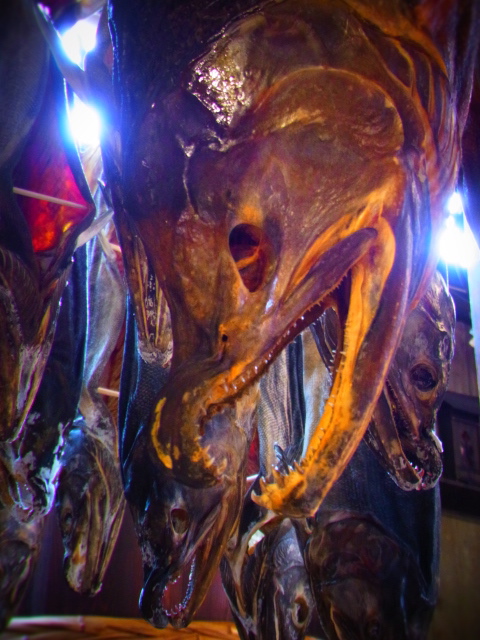 b0238760_19134090.jpg