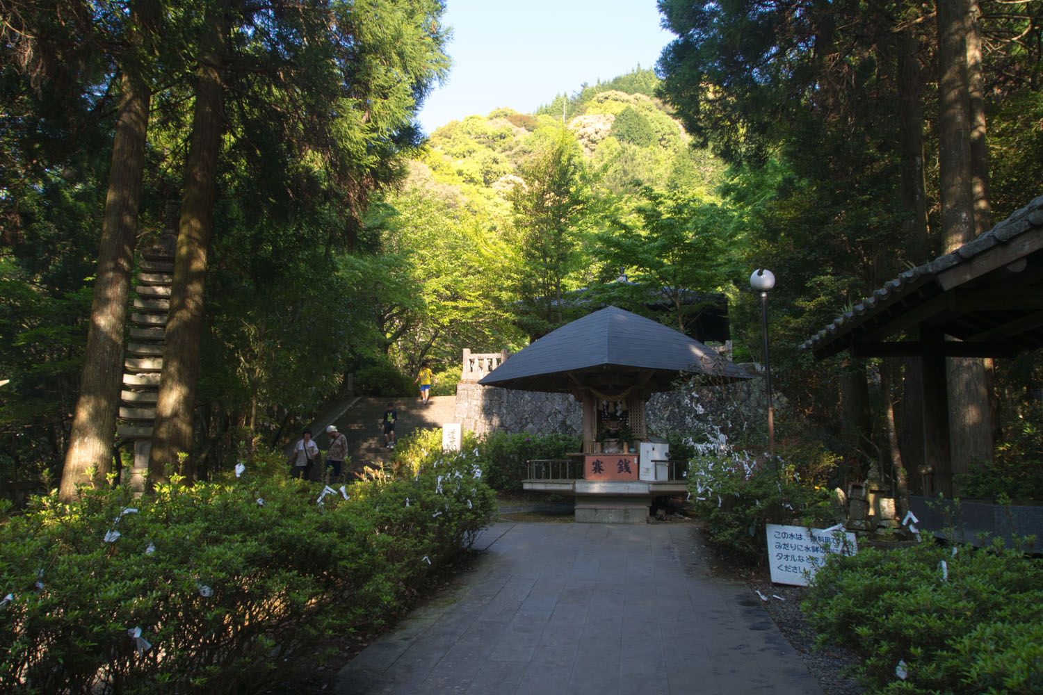 f0227662_0201619.jpg