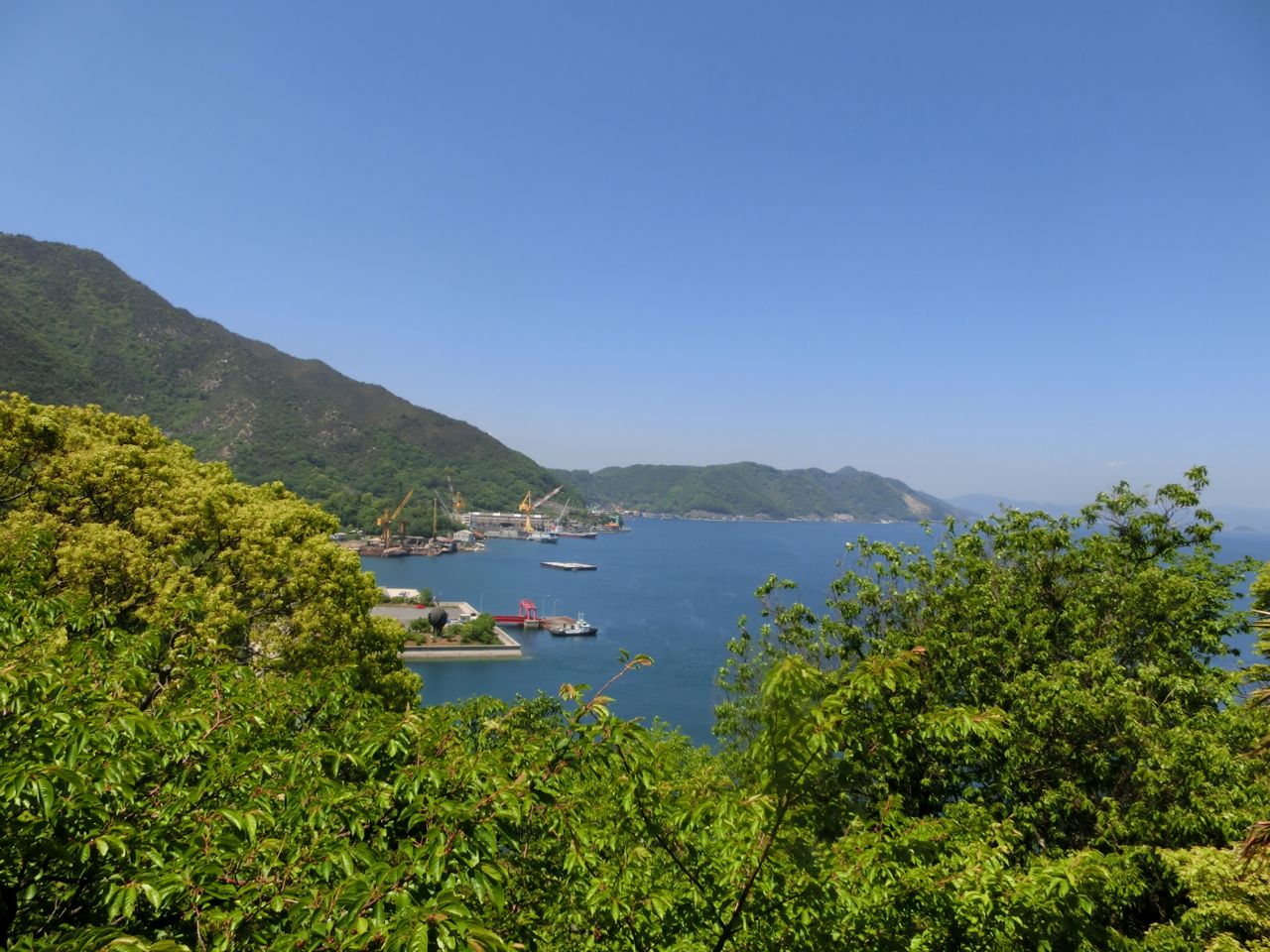 d0105063_1034737.jpg