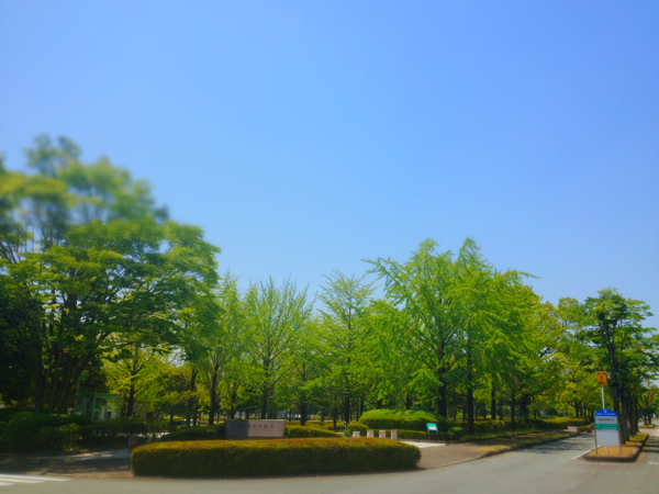 b0199365_17473438.png