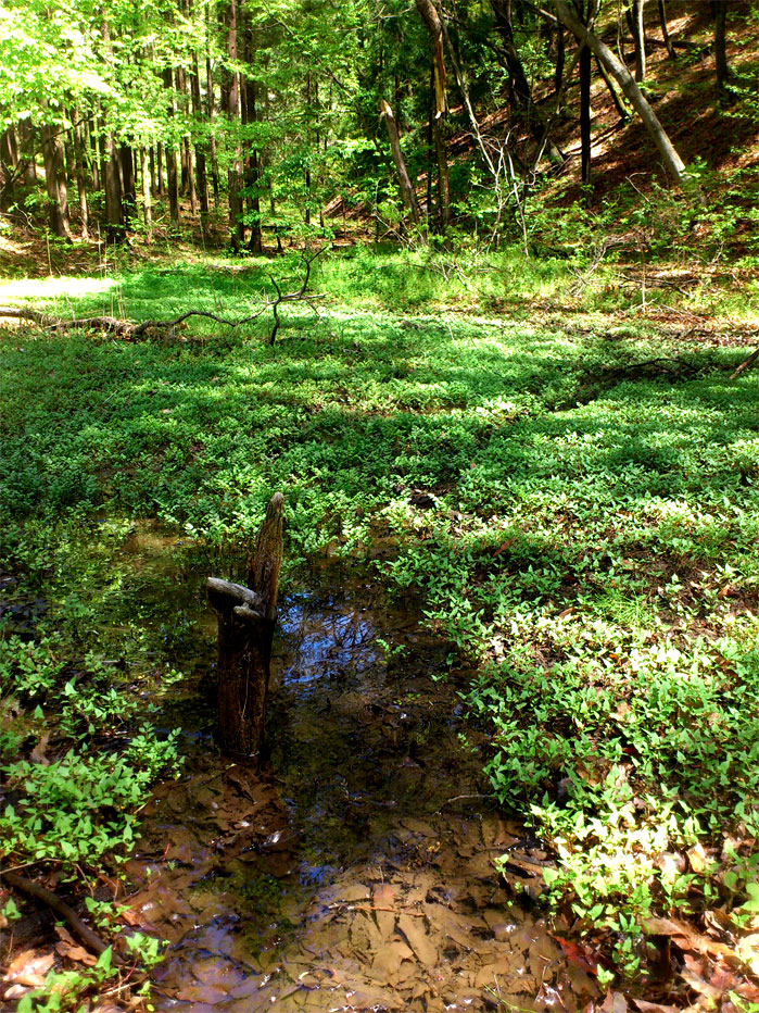 c0220374_742545.jpg