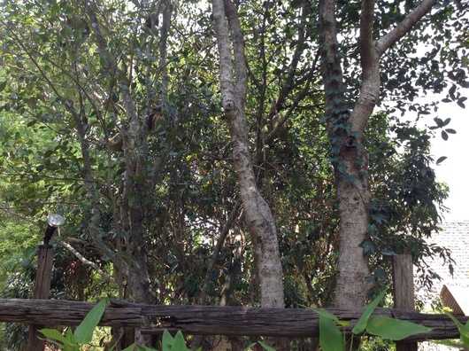 c0286574_20583193.jpg