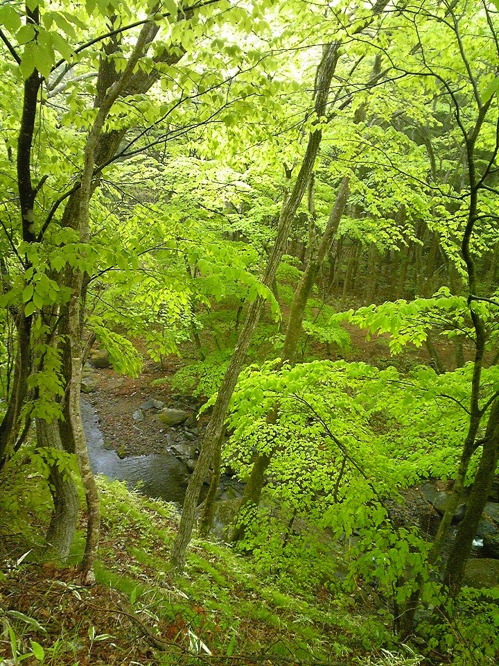 e0118274_13302775.jpg