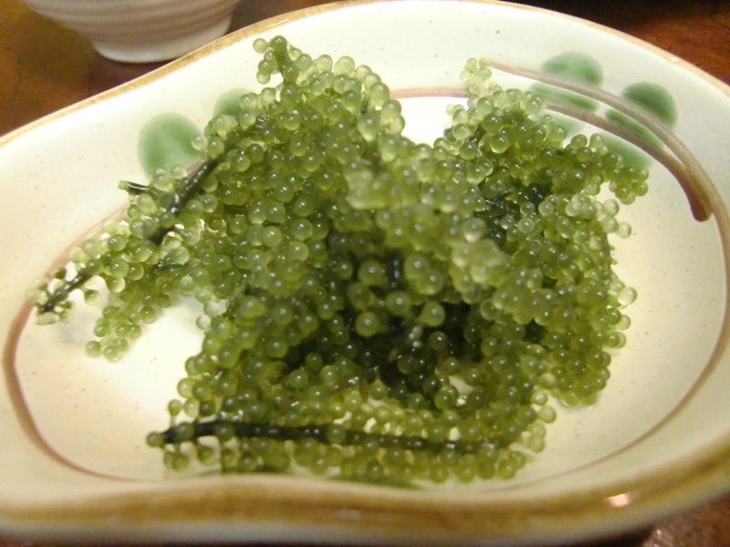 f0238779_7272158.jpg