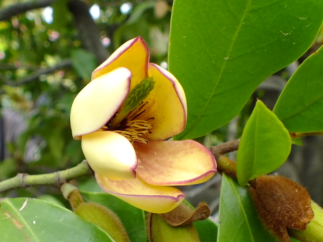 e0145782_20111739.jpg