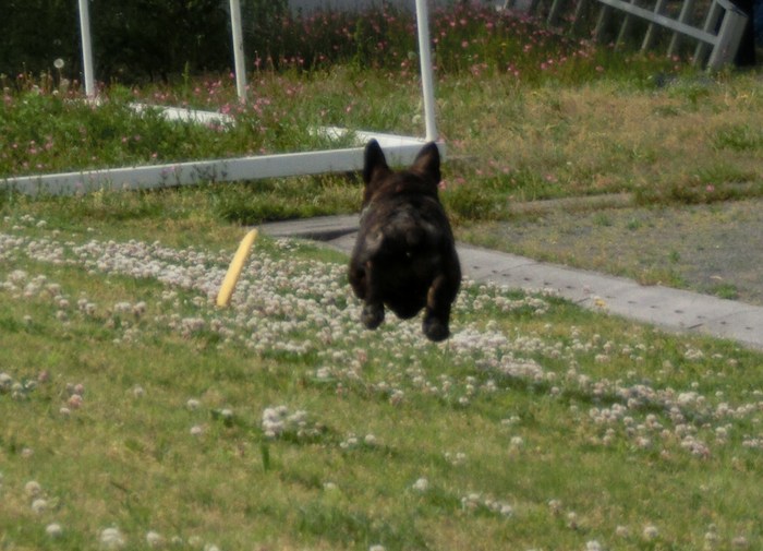 e0199784_2394748.jpg
