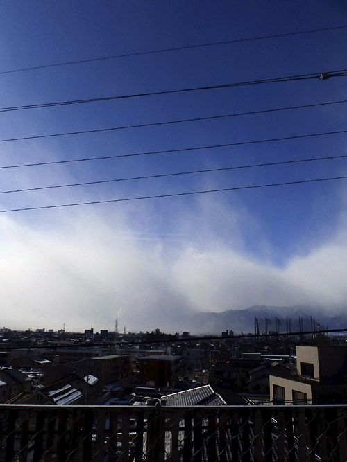 c0001491_1312337.jpg