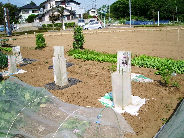 e0025300_16223688.jpg