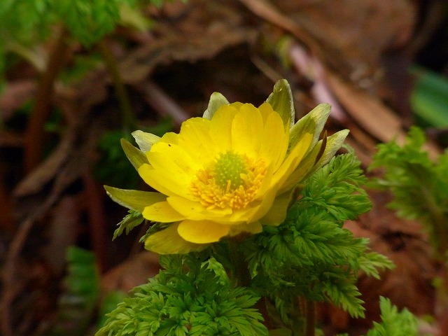 f0157901_929937.jpg