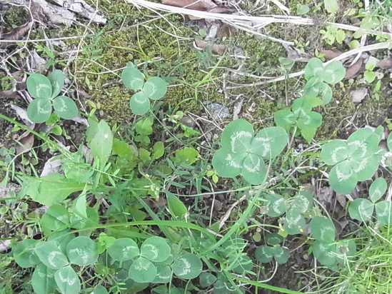 c0238603_22341973.jpg