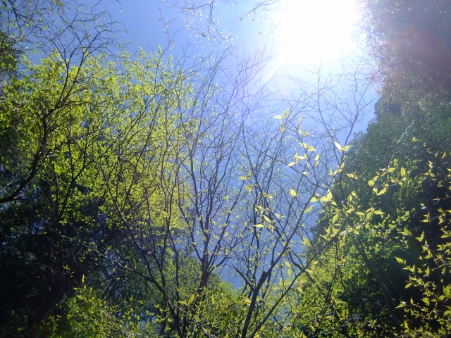 d0024504_22385360.jpg