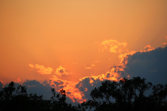 e0123808_0491884.jpg