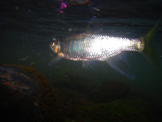 e0123808_0495100.jpg