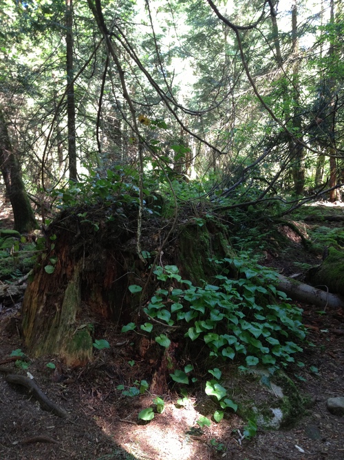 e0247410_13505190.jpg