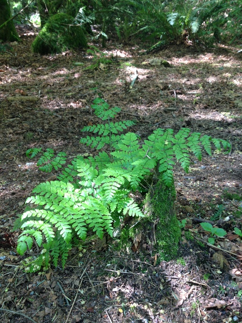 e0247410_13532476.jpg