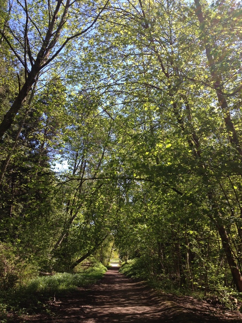 e0247410_14474451.jpg
