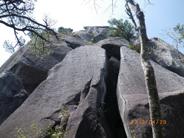d0006512_20502355.jpg