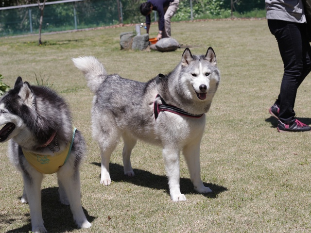 b0207615_23255040.jpg