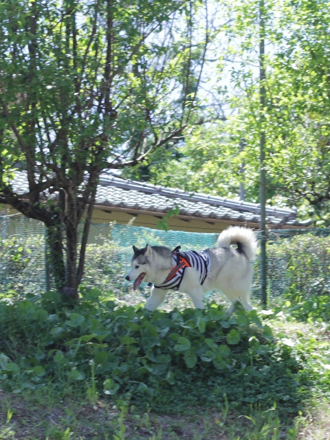 b0207615_2330164.jpg