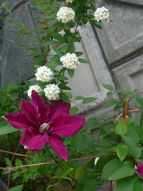 e0026017_13294197.jpg