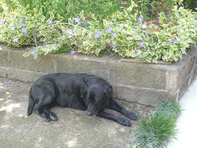 e0026017_13315679.jpg
